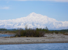 McKinley widocznyz okna pociagu z Anchorage do Talkeetna