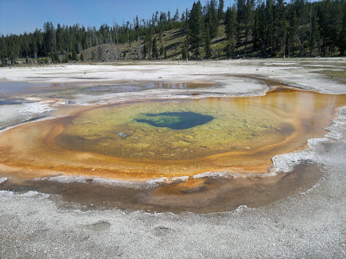 Martes Día 23 de Julio: Yellowstone (II) - 25 días por los parques nacionales del Oeste de USA: un Road Trip de 10500 kms (20)