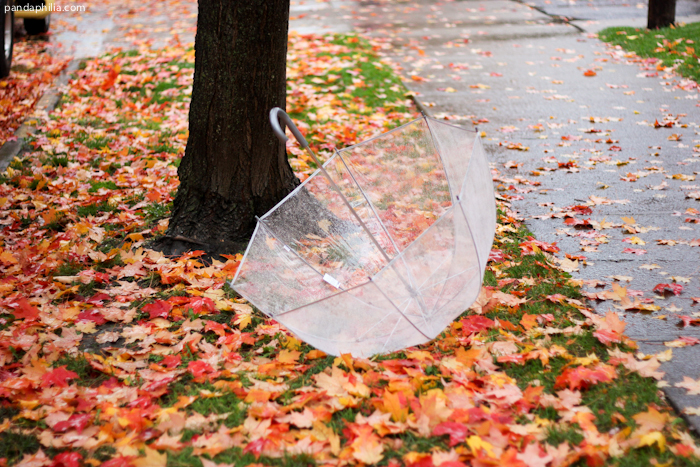 clear bubble umbrella