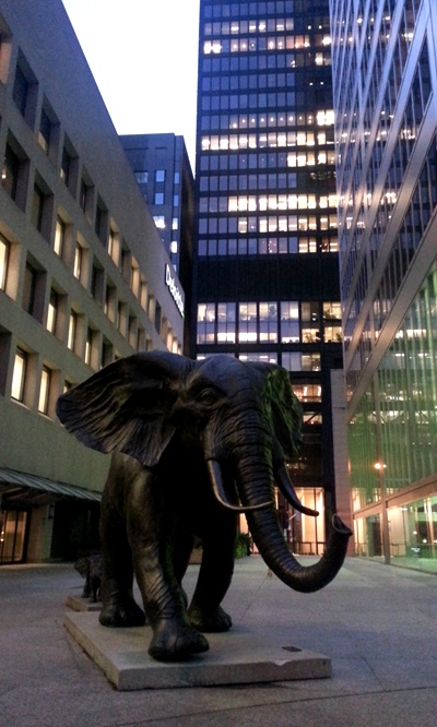 Commerce Court elephants