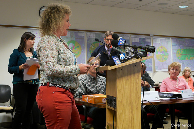 Virginia Hamman brings 4,000 petitions against proposed farmland-destroying tollway