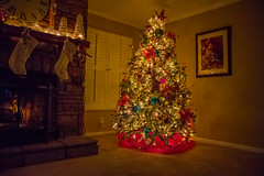 christmas tree 2013