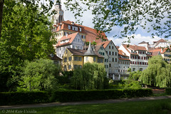 Tübingen - May 2014