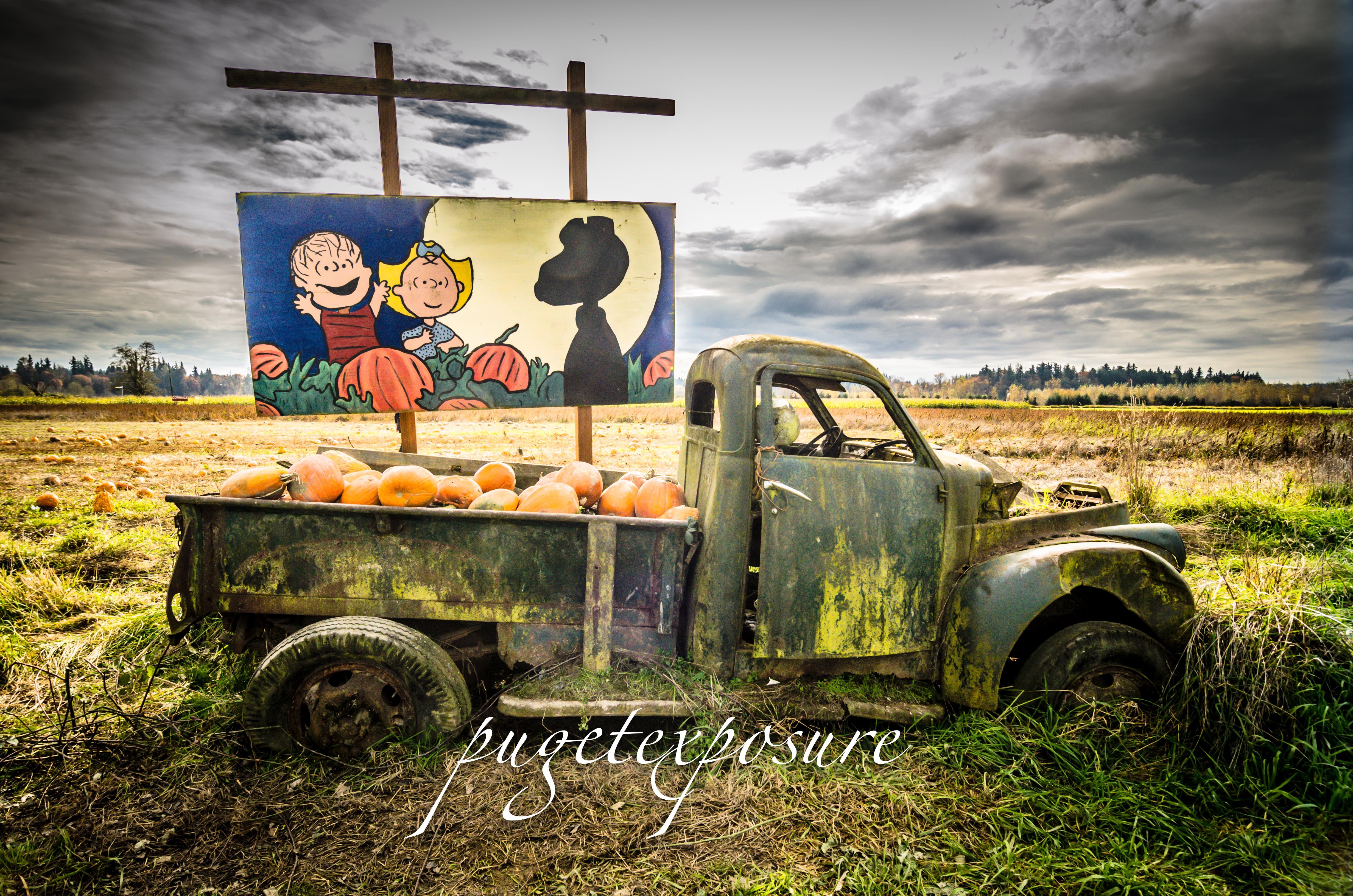 Abandoned Farming Vehicle
