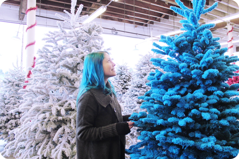 {december 1} our tree | final purchase