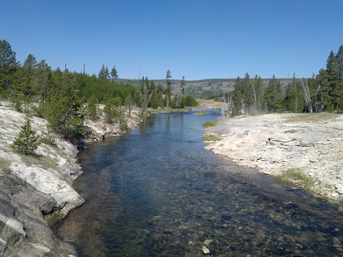 Martes Día 23 de Julio: Yellowstone (II) - 25 días por los parques nacionales del Oeste de USA: un Road Trip de 10500 kms (22)