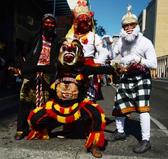 Adelaide Australia day  2014 international street parade