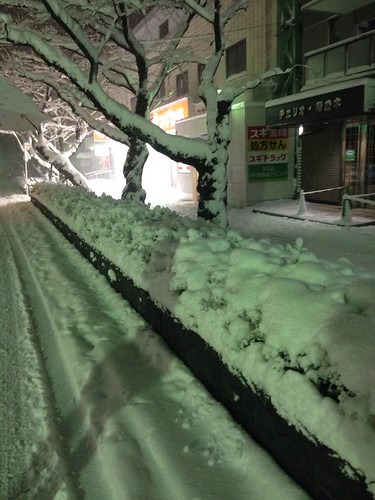 20140208 東京大雪