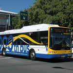 Brisbane Transport 1463