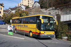 Switzerland - Road - Grindelwald Bus