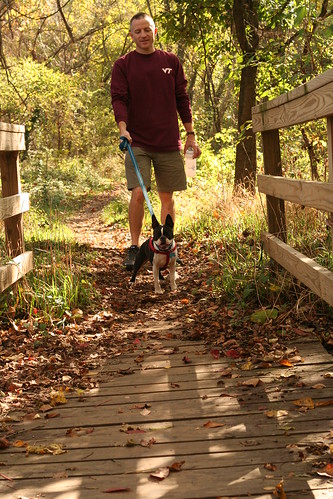 Canine Adventures Hike (80) 11.2