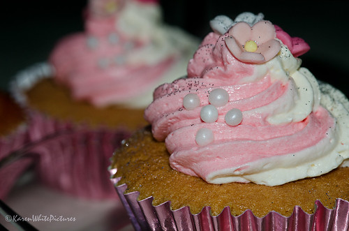 rose cupcakes 31/52