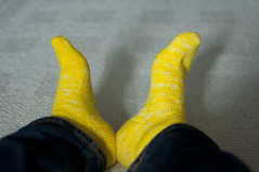 yellow socks 2