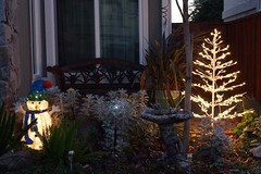 			Klaus Naujok posted a photo:	Our Christmas outdoor lights. Getting older, I was not allowed to use the ladder this year. However, sofar I am the only house on my block with lights.