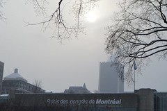 A Winter Walk in Montreal