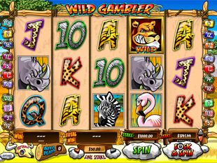 Wild Gambler slot game online review