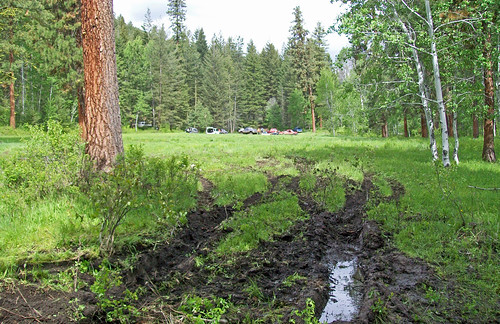 The aftermath of "mudders" driving their vehicles through a pristine meadow on the Okanogan-Wenatchee National Forest in Washington. Participants could face charges including malicious mischief and fines up to and including paying for the costs of restoration. (U.S. Forest Service photo)