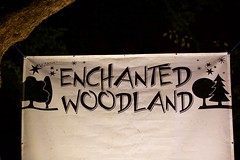 Syon Park - Enchanted Woodland Walk - 2016