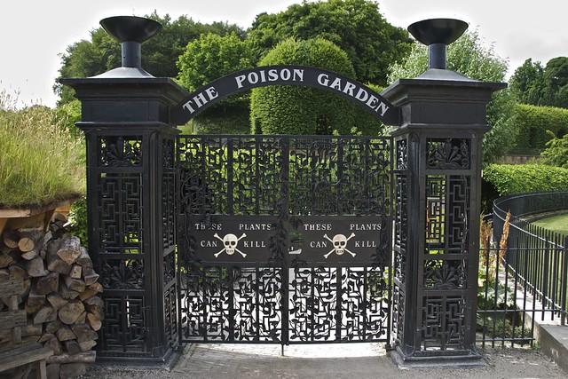 The Poison Garden, Alnwick Castle