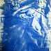 Cyanotypes at home 1 001
