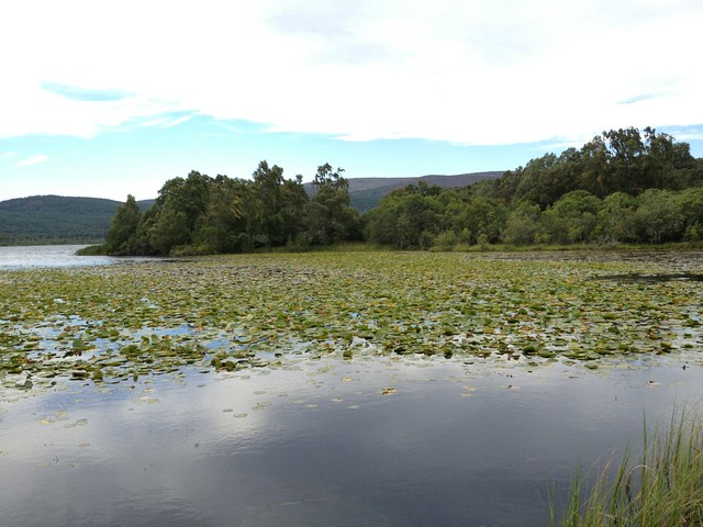 Loch Kinold