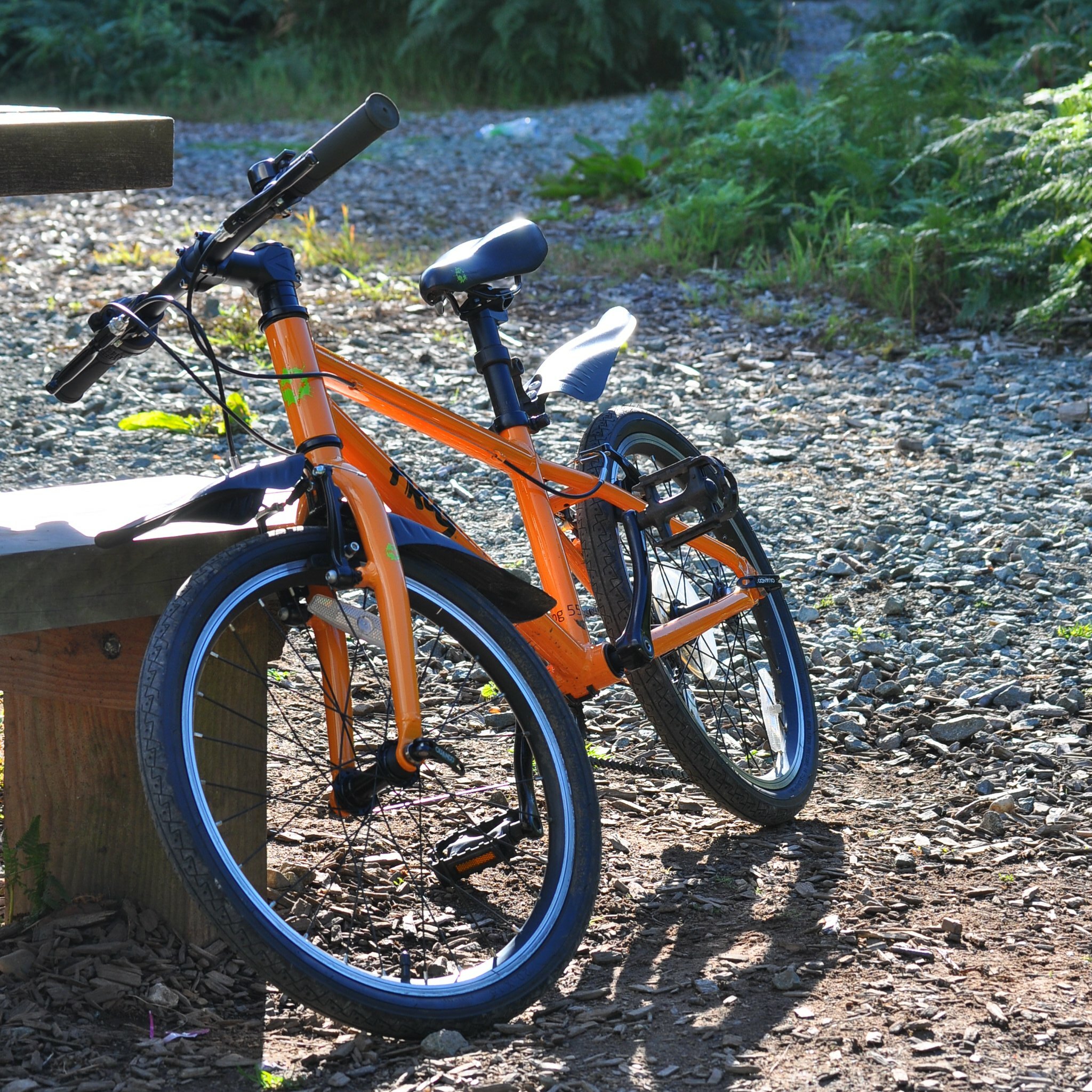 Review of the Frog 55 quality kids bike with 20" wheels