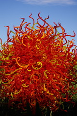 Desert Botanical Gardens - Chihuly - proofs