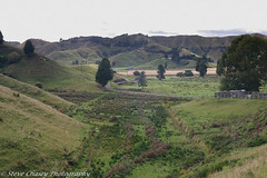 New Zealand - SH43 Forgotten World Highway