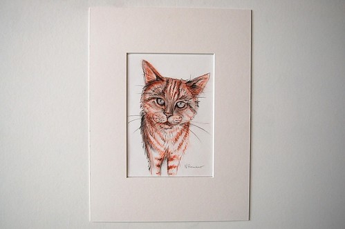 Cat Pencil Drawing by Sparrow Little