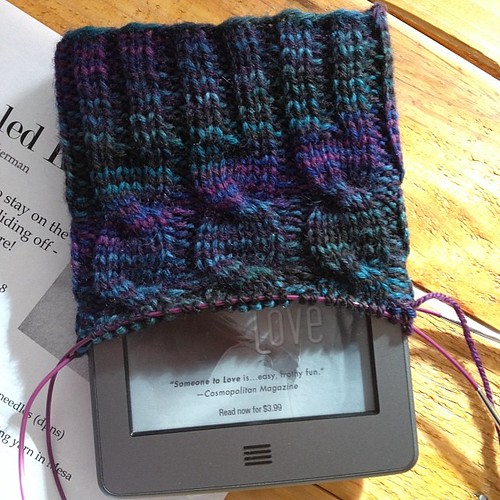 A kindle cozy for Scott