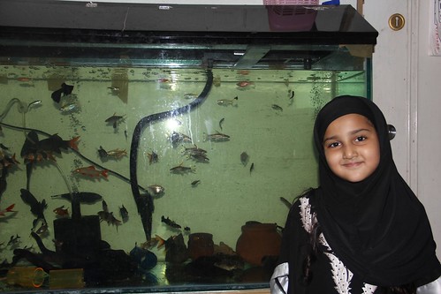 Marziya Shakirs New Fish Tank by firoze shakir photographerno1