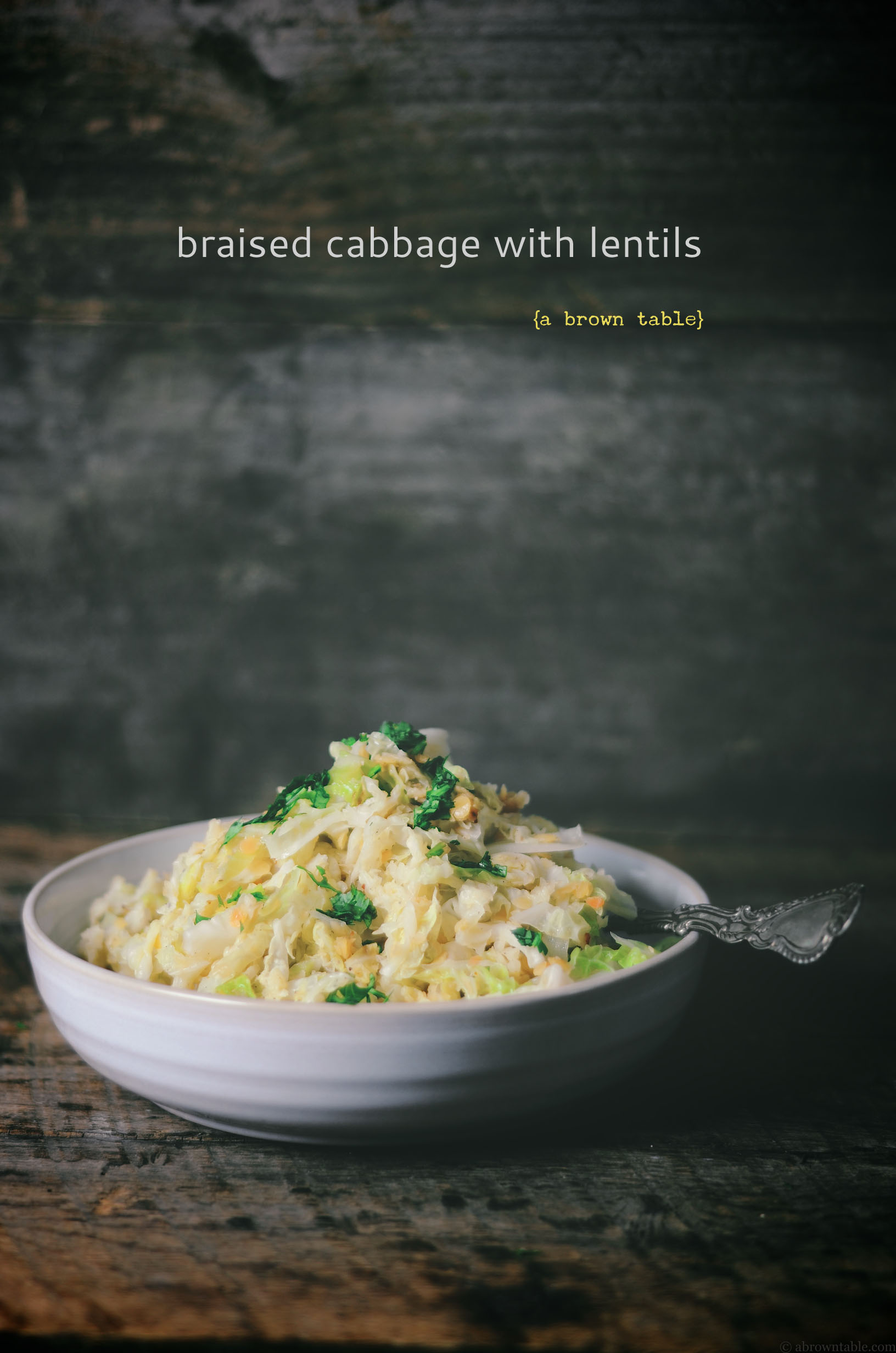 braised cabbage with red lentils