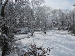 Thundersnow, January 27, 2011