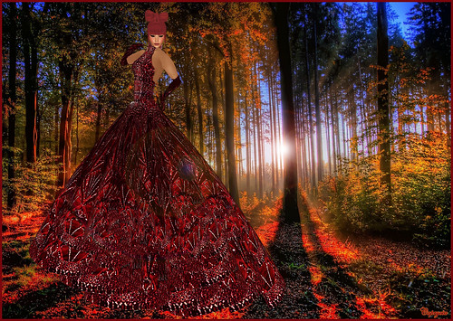 Lost in the Forest... by ♥Caprycia♥
