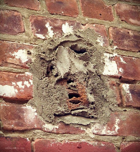 Inanimate Portraits - Face in the Brick