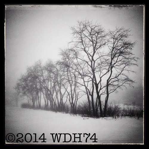 Winter Fog by William 74