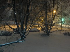 Snowpocalypse, December 19-20, 2009