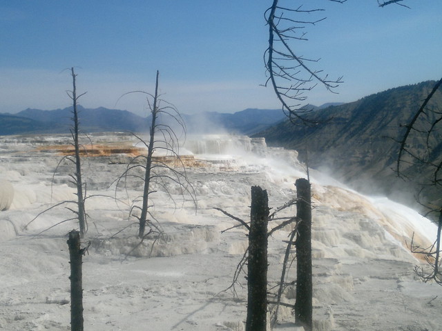 Miércoles Día 24 de Julio: Yellowstone (III) - 25 días por los parques nacionales del Oeste de USA: un Road Trip de 10500 kms (9)