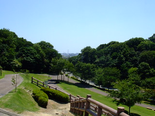 垂坂公園・芝生の広場