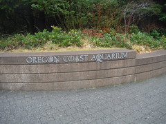 Oregon Coast Aquarium Jan. 2014