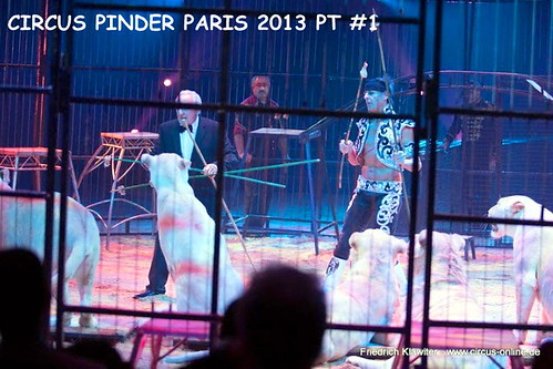 pinder paris 1213-052 (Small) by CIRCUS PHOTO CENTRAL