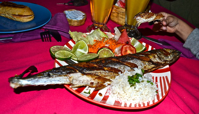 Fish For Dinner - Atelie Del Mar Hotel - Monterrico, Guatemala