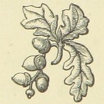 Image taken from page 160 of 'The Works of Alfred Tennyson'