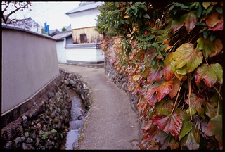 One scene of Asuka Village taken by film camera.