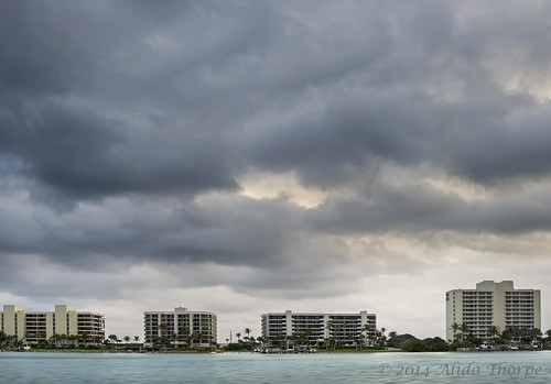 New Years Day 2014: Florida by Alida's Photos