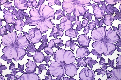 blooms in purple
