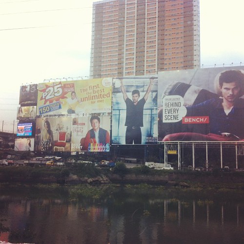 Wish we had less billboards in Manila. I wish all billboards would be replaced with hanging gardens and flowers instead.