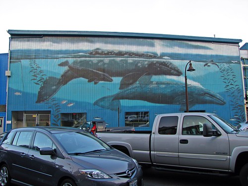 whale mural