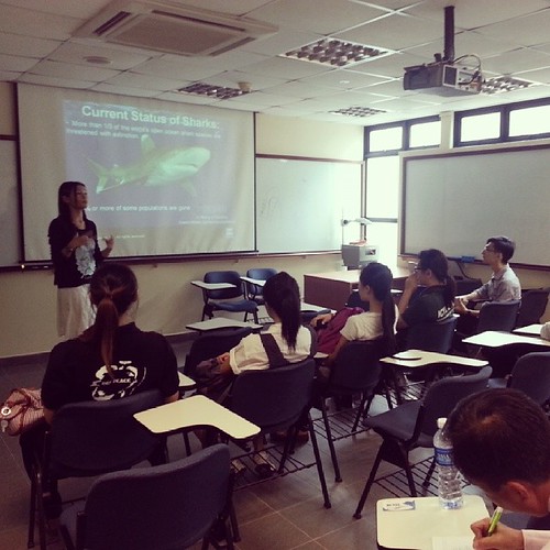 Successful talk on Shark Conservation by Ms Kathy Xu #peace #sharks #thedorsaleffect
