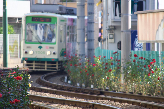 Tokyo Train Stoy 都電荒川線 2013年11月16日